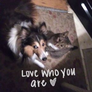 Meet your Posher, Roy